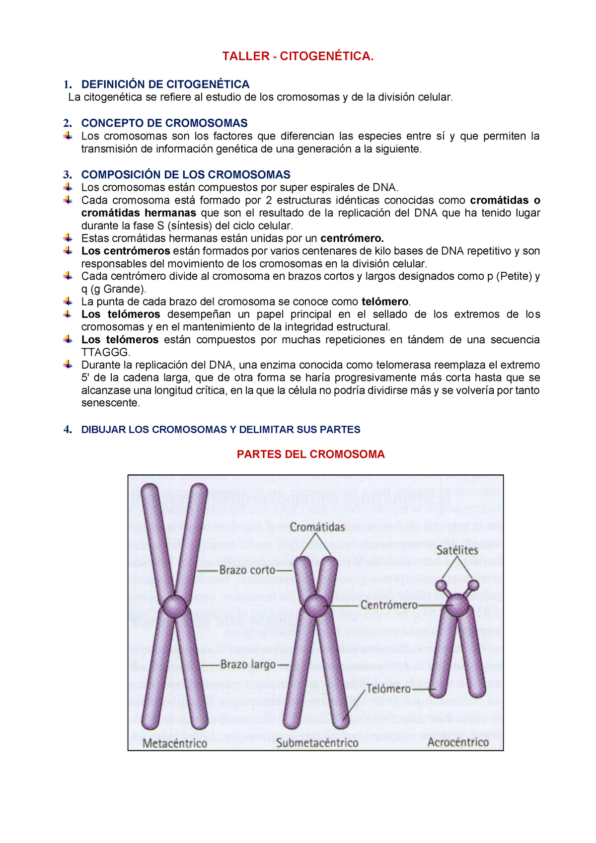 definición de cromosomas