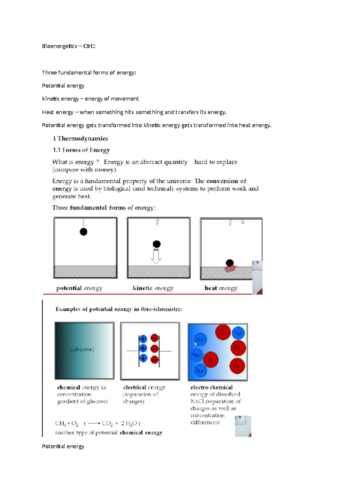 Bioenergetics - Lecture Notes 2 - Bioenergetics – CBC: Three ...