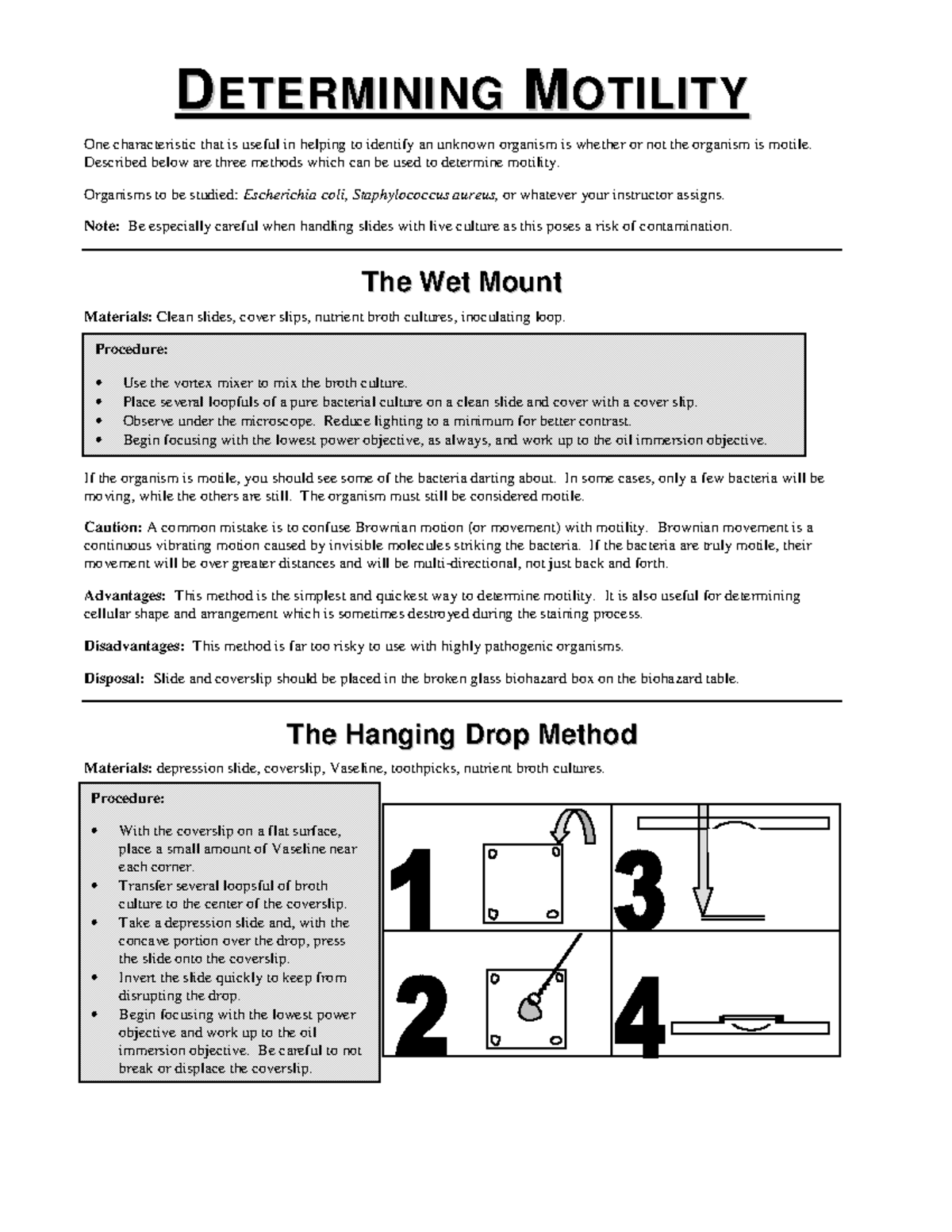 Motility Handout - D D E E T T E E R R M M I I N N I I N N G G M M O O ...