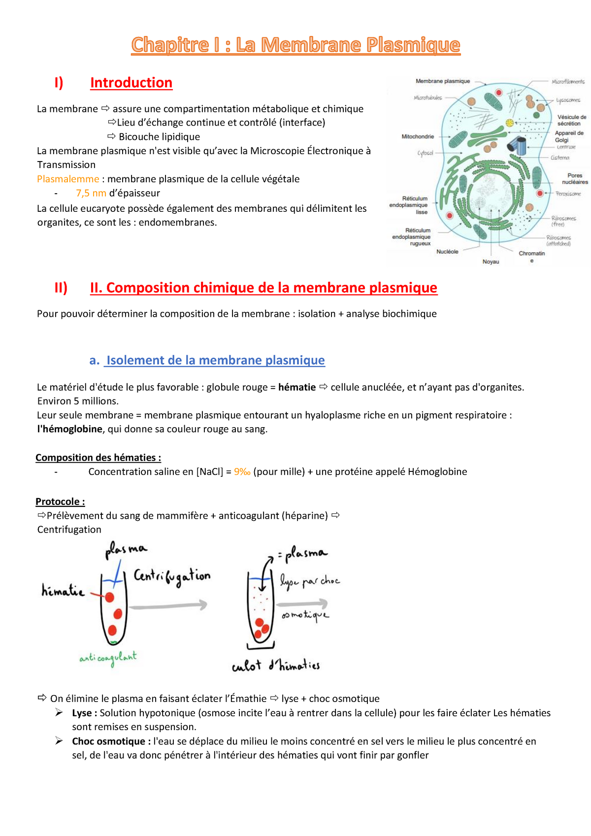 CM1 Final - Notes De Cours 1 - I) Introduction La Membrane Assure Une ...