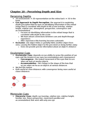 Chapter 2 - The Beginnings of Perception - Unit 2: Light: The Stimulus ...