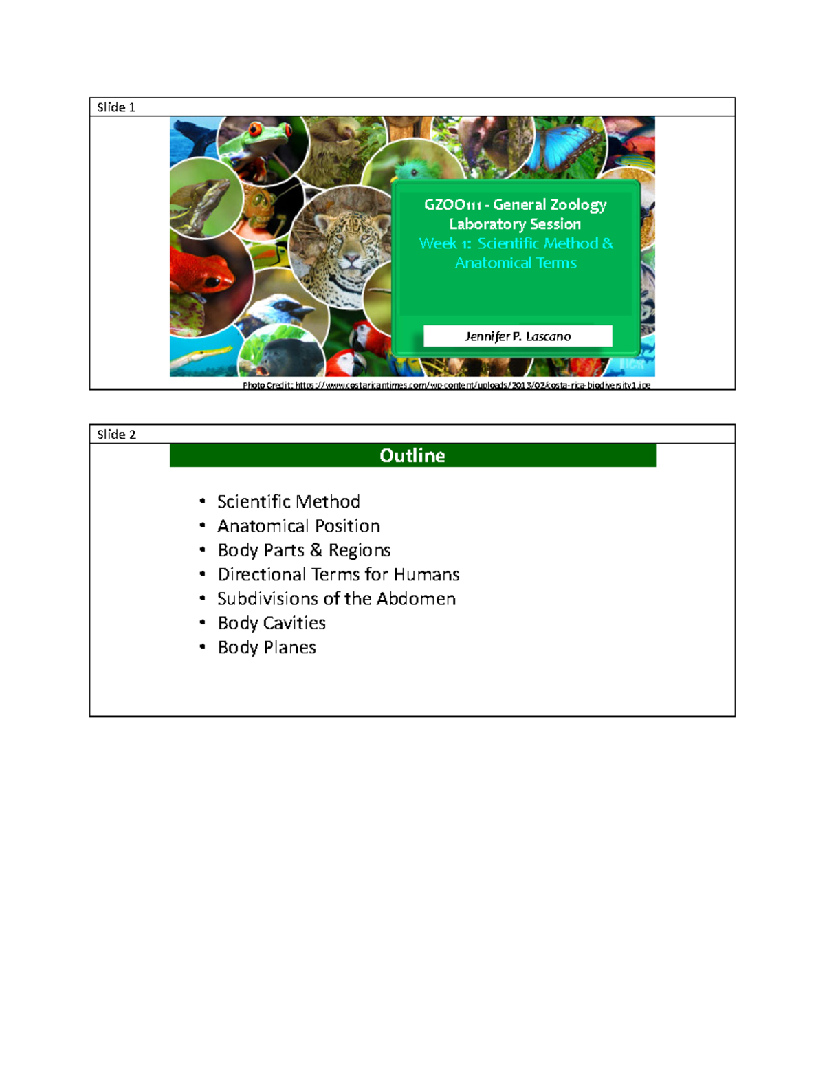 GZOO111 LAB 1+Scientific+Method+%26+Anatomical+Terms - Jennifer P ...