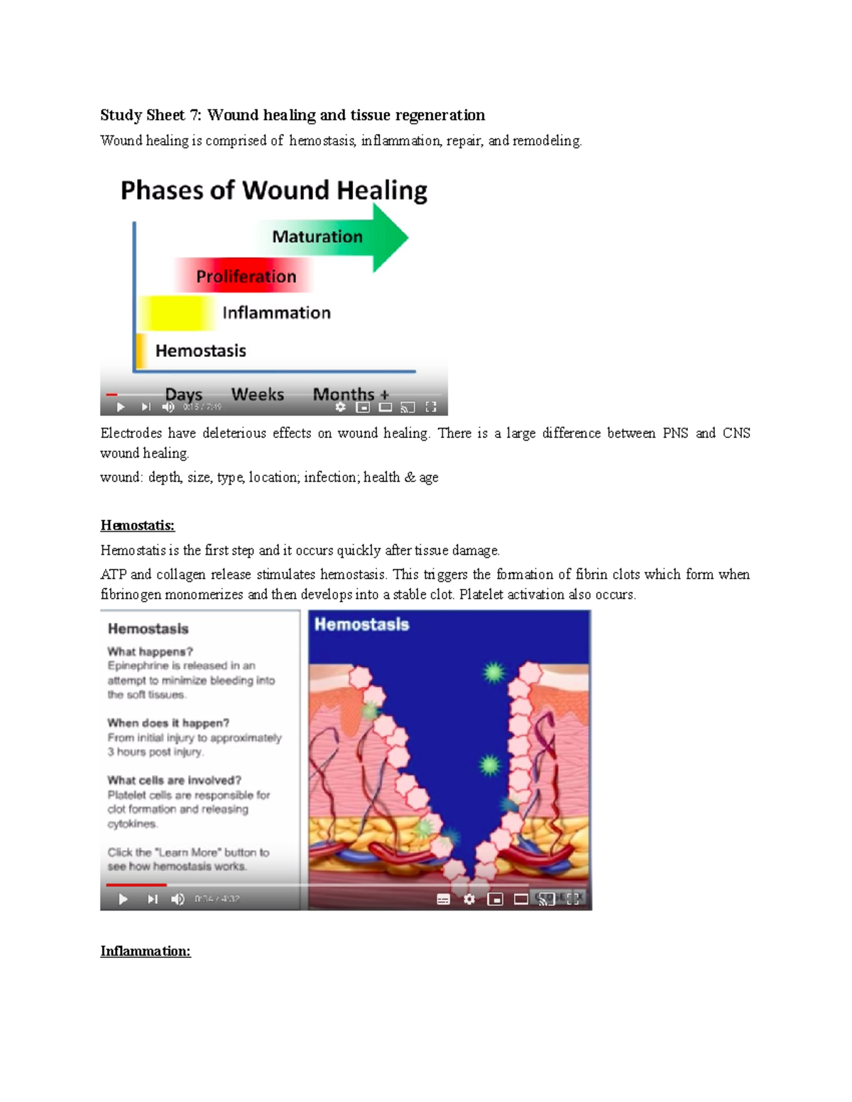 Module 7 Wound Healing Regeneration Yu Wang - Study Sheet 7: Wound ...