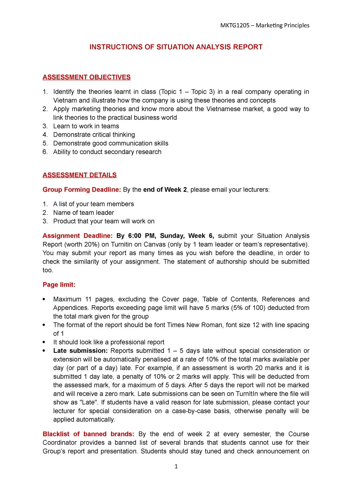 Situation Analysis Report Structure - INSTRUCTIONS OF SITUATION ...