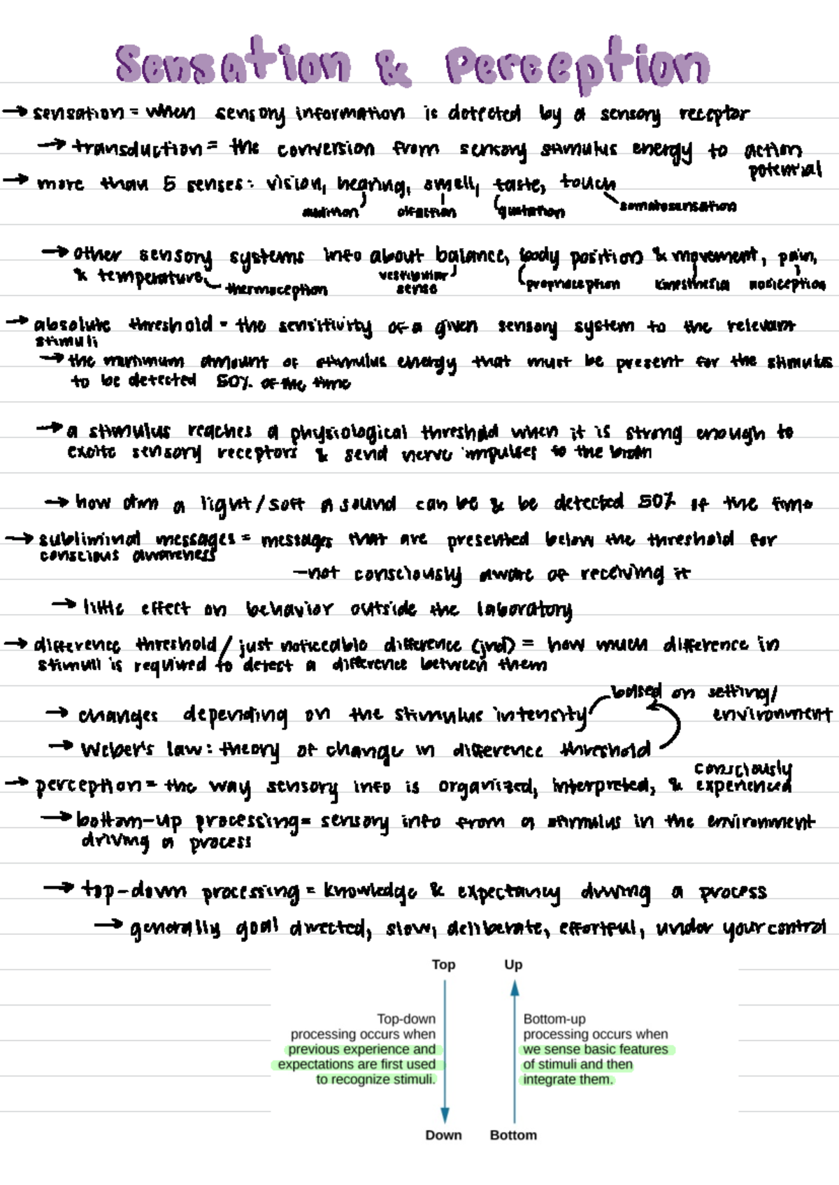 Lecture 6 - sensation - perception - Filitti! It'll 1 :' I' C- Hit ...