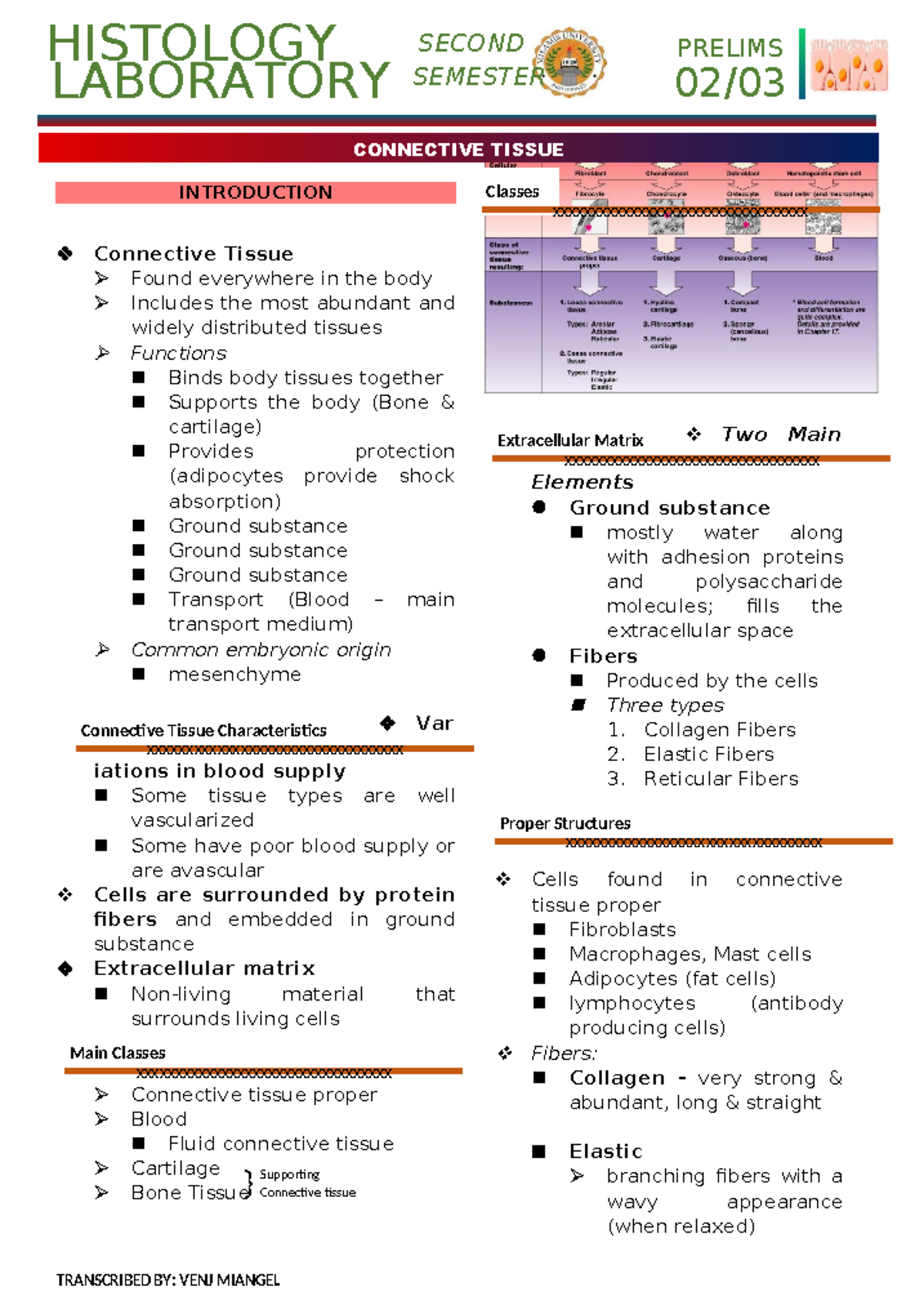 Human Histology LAB - ... - HISTOLOGY PRELIMS 02/ SEMESTER LABORATORY ...