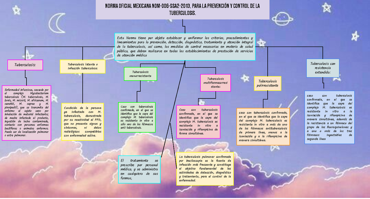 Nom Mapa Conceptual De La Norma Norma Oficial Mexicana Nom Ssa Para La