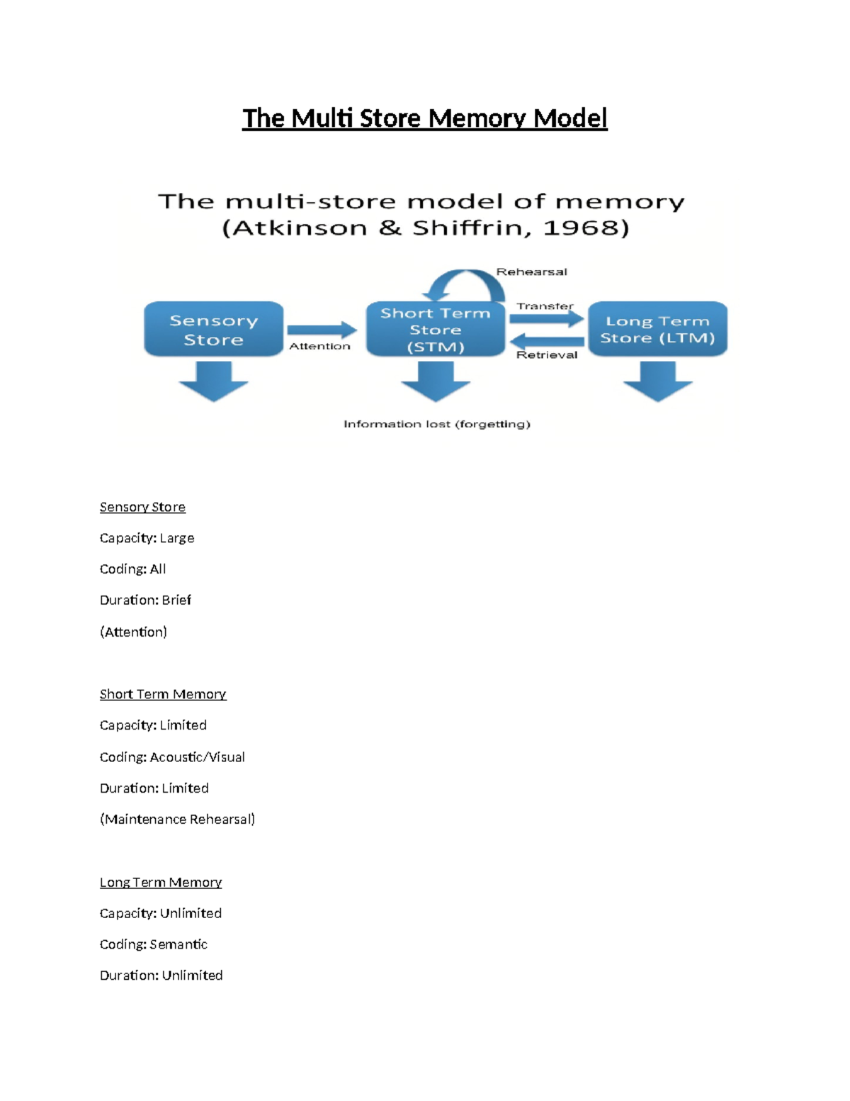 The Multi Store Memory Model - The Multi Store Memory Model Sensory ...