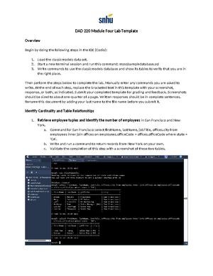 DAD 220 Module Four Major Activity Database Documentation Template ...