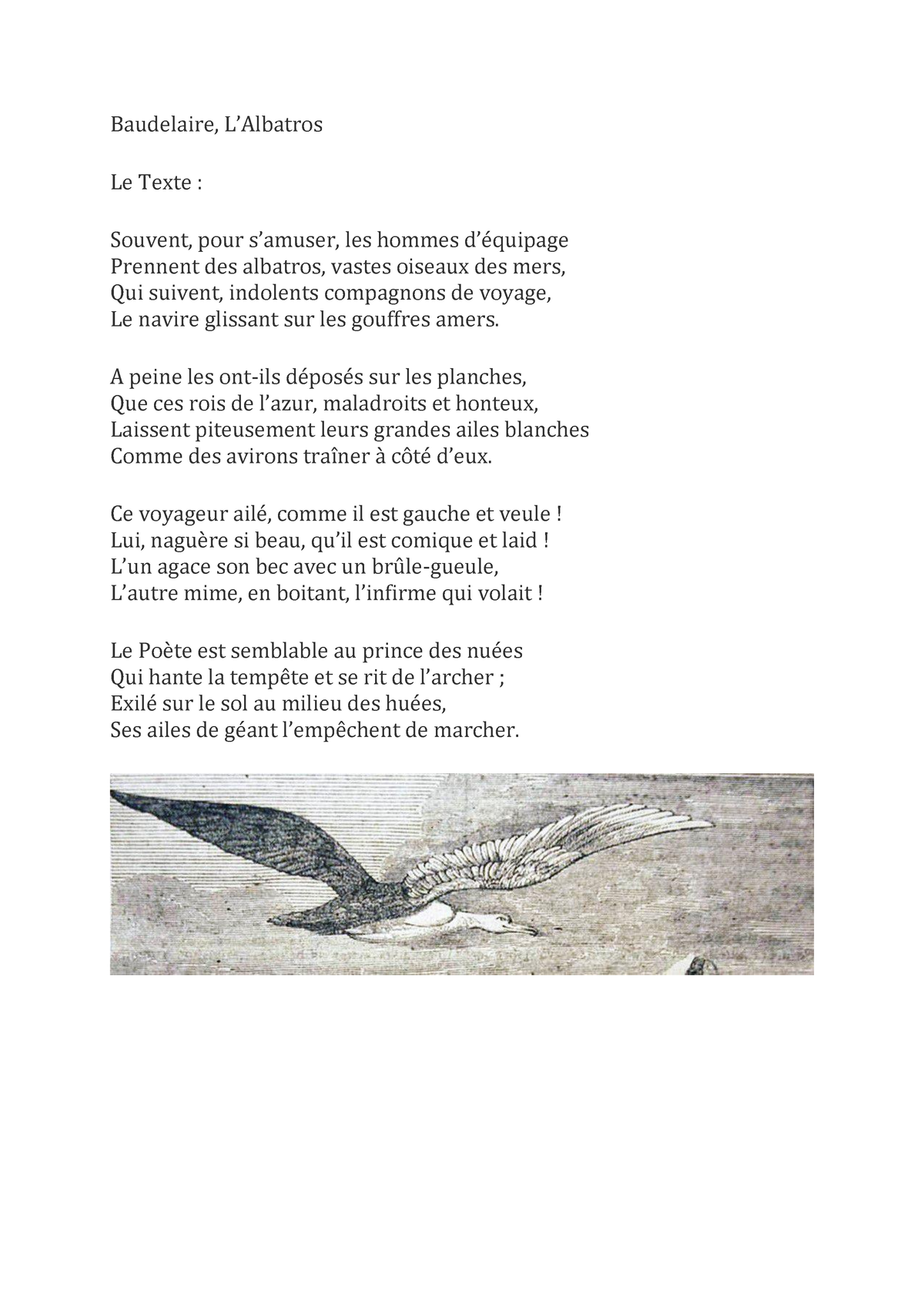 Lalbatros Etude Lineeaire Baudelaire LAlbatros Le Texte Souvent Pour Samuser Les Hommes