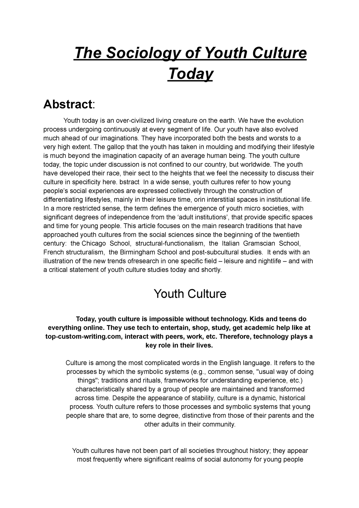 essay on youth culture today