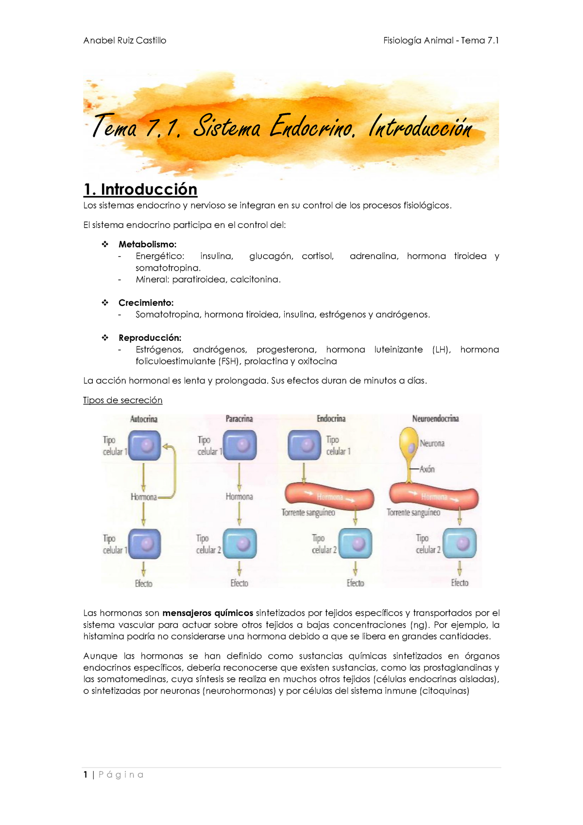 Apuntes Introducción Sistema Endocrino Fisiología Animal UCLM Studocu