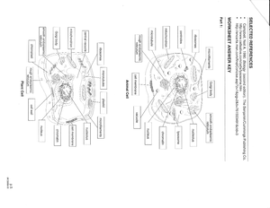 Cell Structure and Function Crossword Puzzle Answer Key - ribosome ...