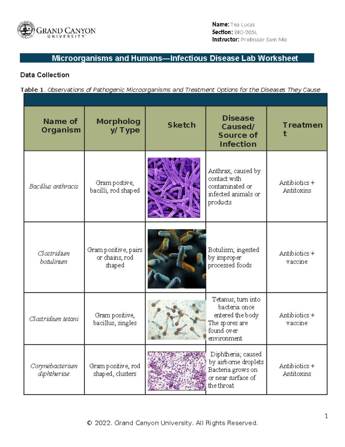 BIO 205L RS Microorg Human Infectious Diseases WS Online Tradonline ...