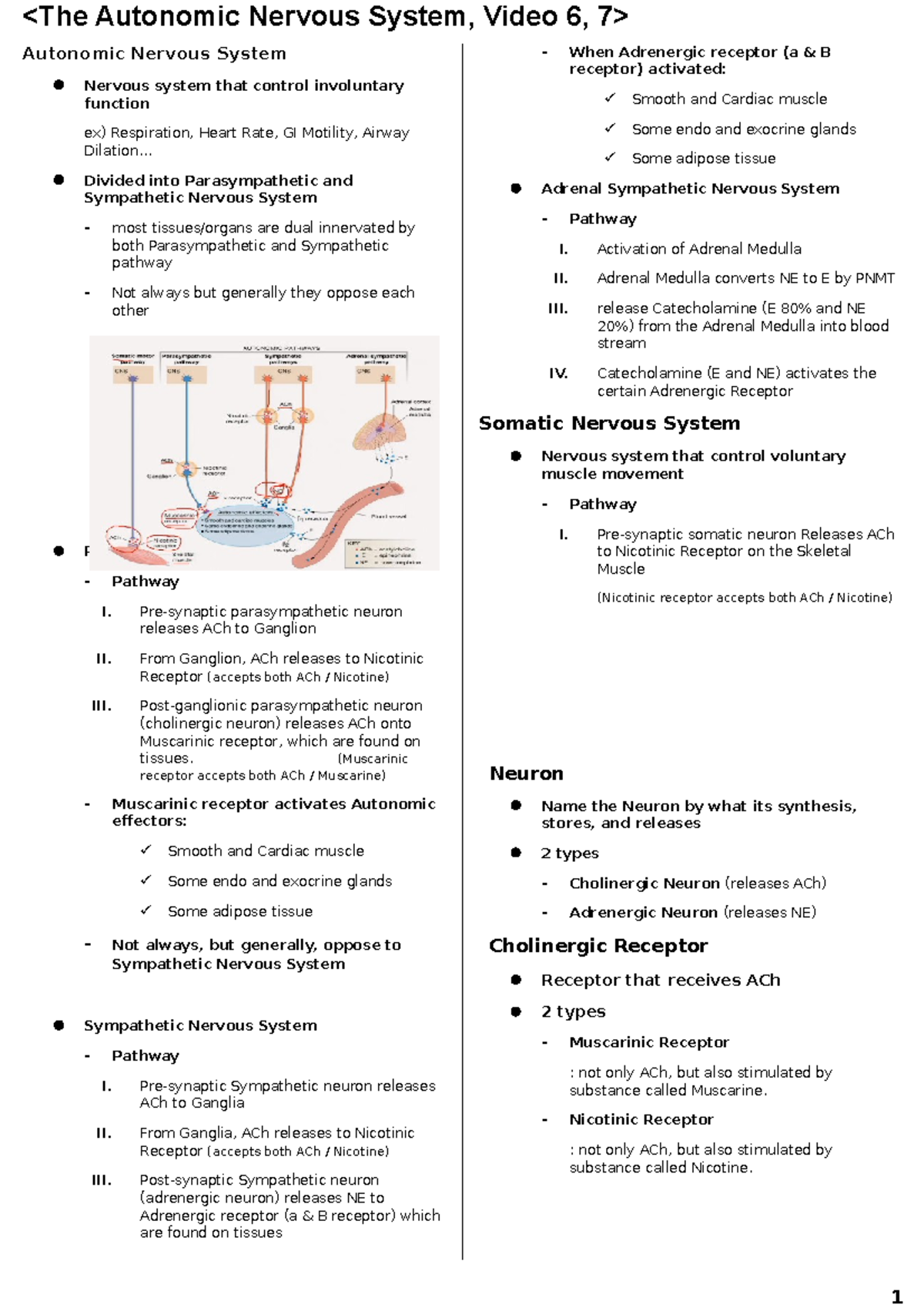Pharmacology The ANS, Indirect and Directacting drugs 6,7