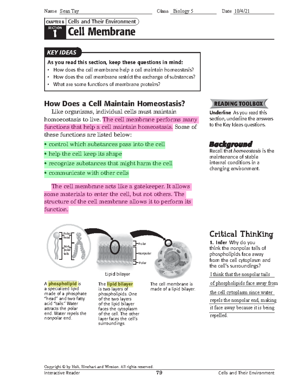 Intermediate Packet 1 - biology - Copyright © by Holt, Rinehart and ...