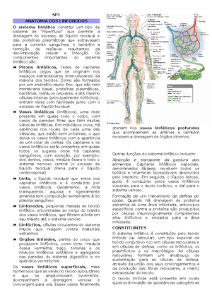 Anatomia B - Aula 9 - Topografia Do Tórax - Anatomia B Anatomia Do ...