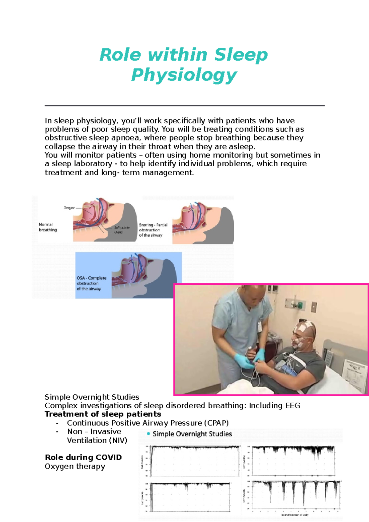 Role within Sleep Physiology - Role within Sleep Physiology In sleep ...