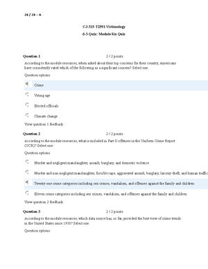 CJ 315 Module Three Assignment Template finished - CJ 315 Module Three ...
