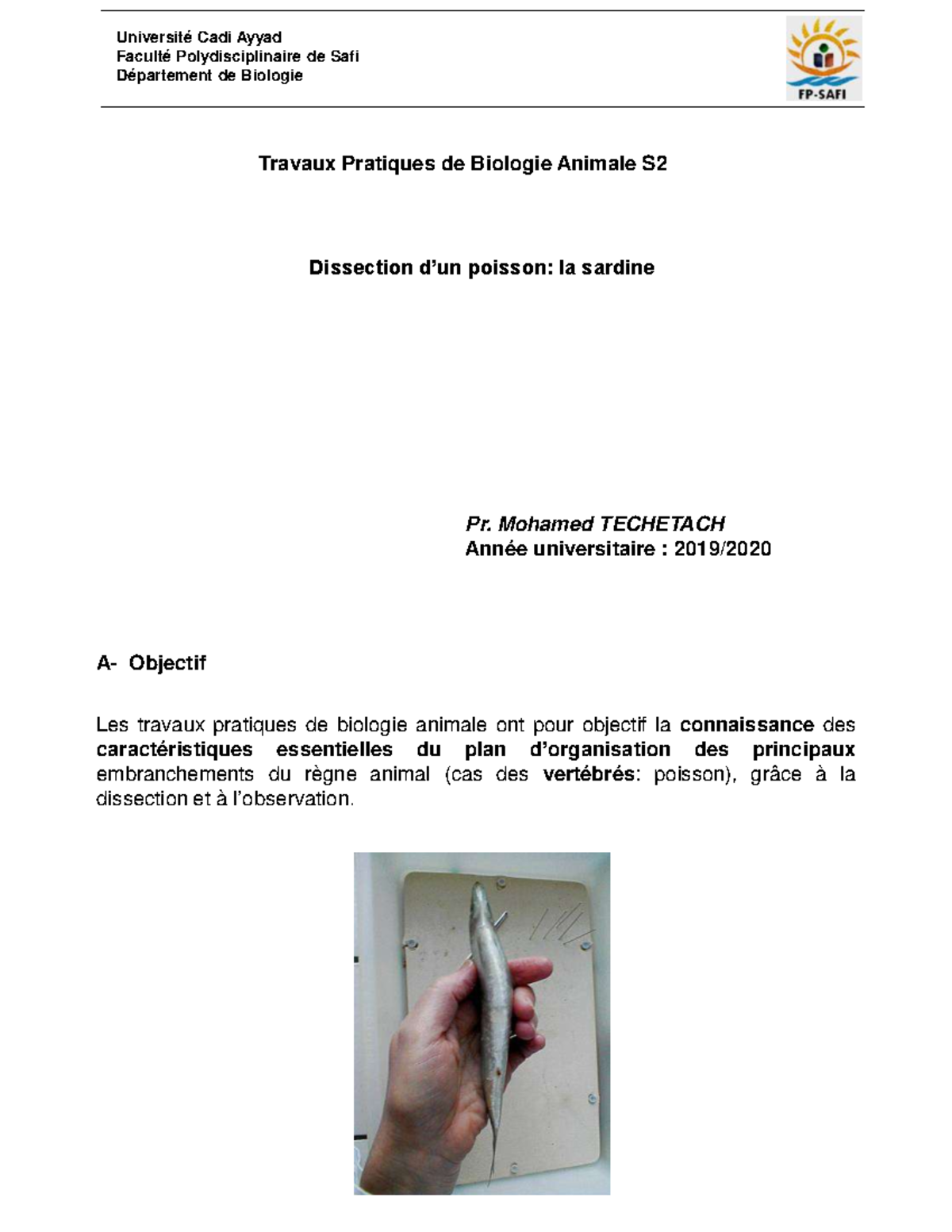 Présentation TP dissection sardine - Université Cadi Ayyad Faculté ...
