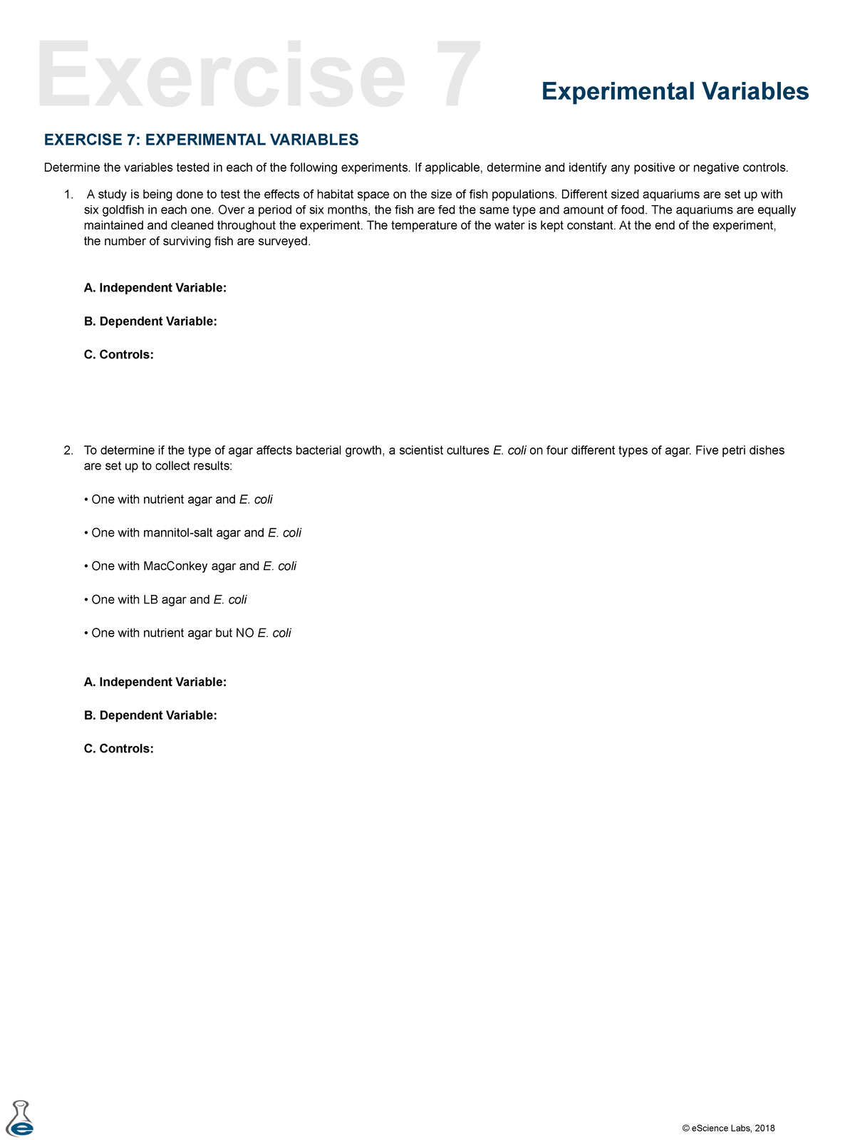 exercise 7 experimental variables