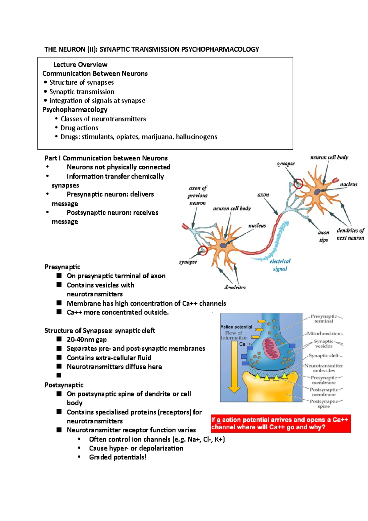 3 Neuron synaptic transmission and drugs PS1005 - PS1005 - City - Studocu