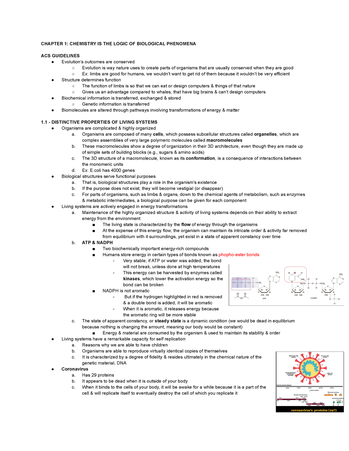 BCH 3033 Chp 1 Notes - CHAPTER 1: CHEMISTRY IS THE LOGIC OF BIOLOGICAL ...