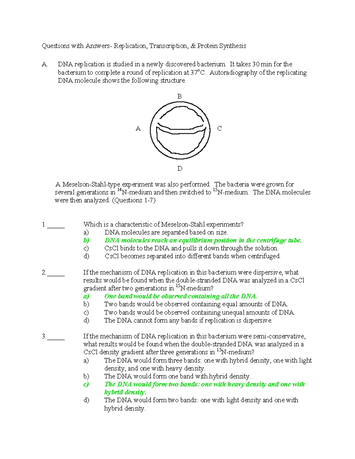 DNA Replication and Protein Synthesis Practice with Answer Key ...