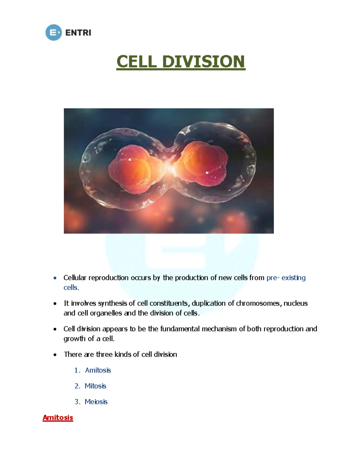 cell-division-hsst-mitosis-cell-division-cellular-reproduction