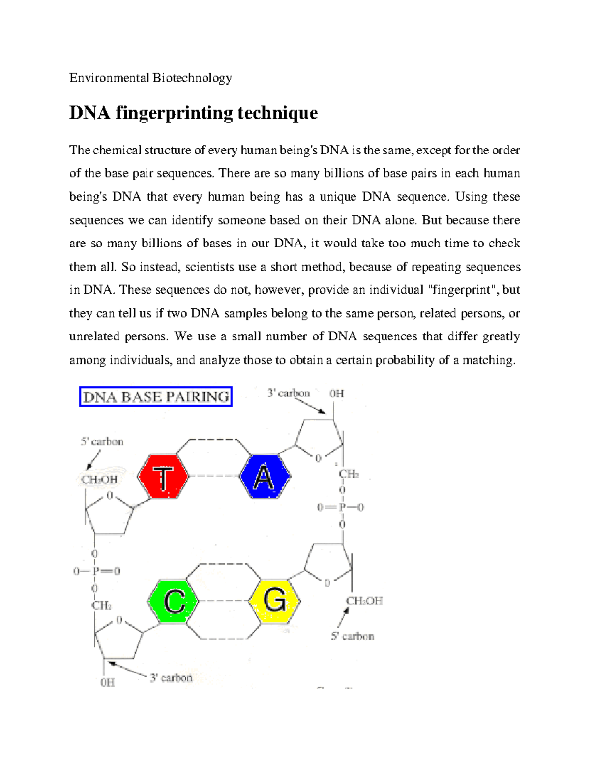 DNA Fingerprinting Technique - Environmental Biotechnology DNA ...