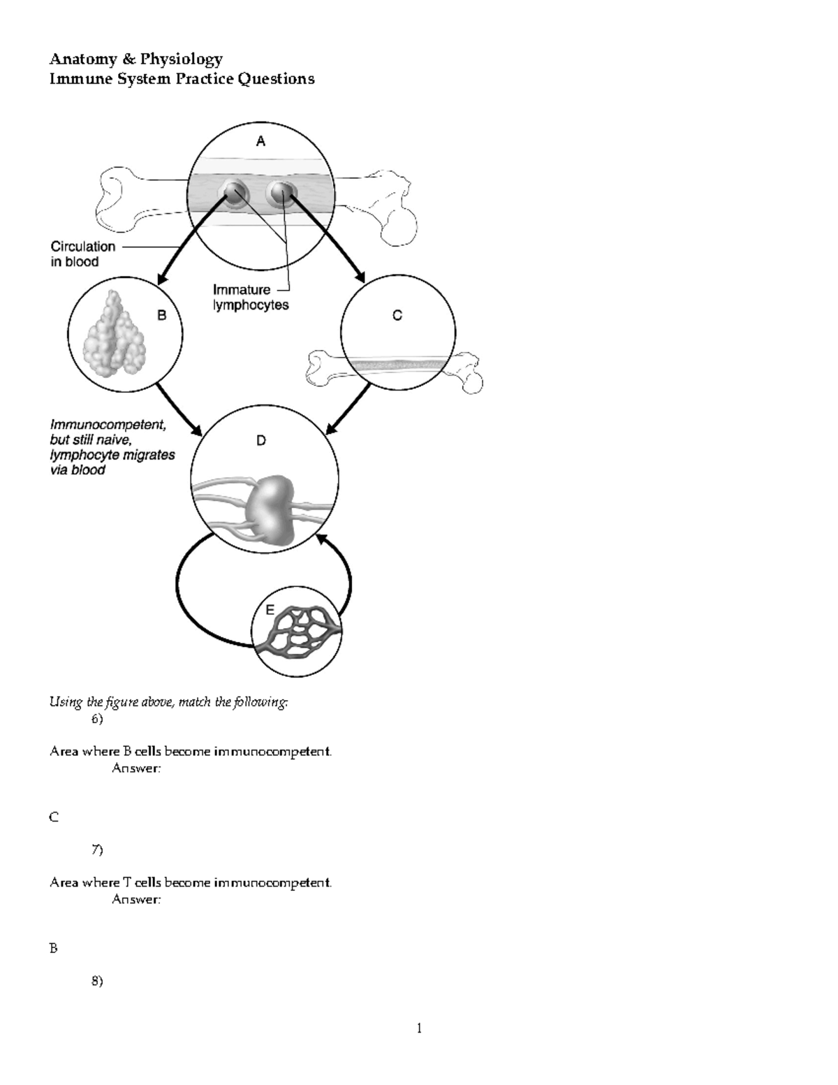 immunity-test-bank-exam-review-questions-with-answers-anatomy