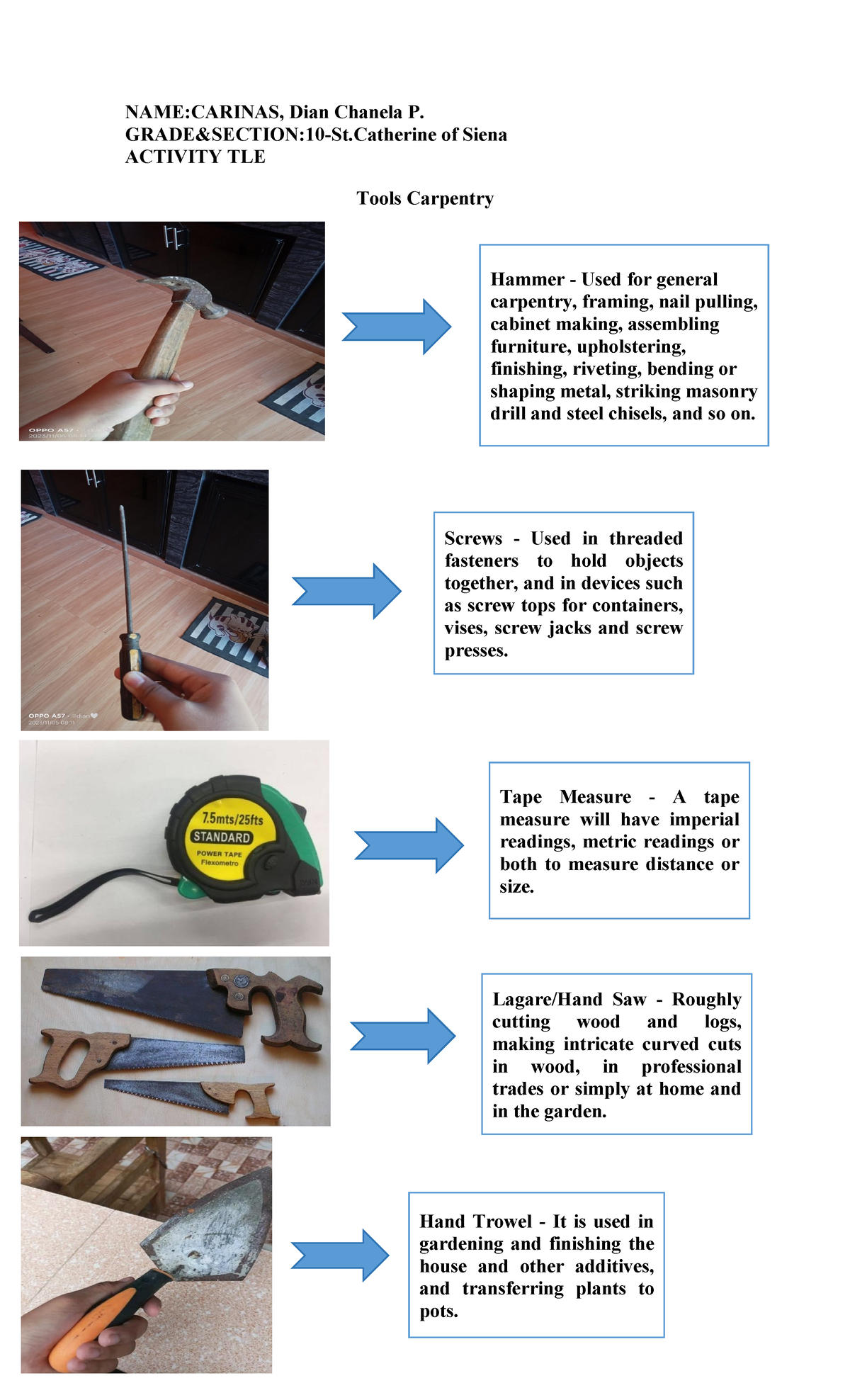Dian tle tools NAMECARINAS, Dian Chanela P. GRADE&SECTION10St of