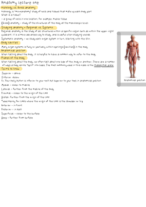 Lesson 6 Elements And Activities - Lesson 6 Dean Vaughn Medical ...