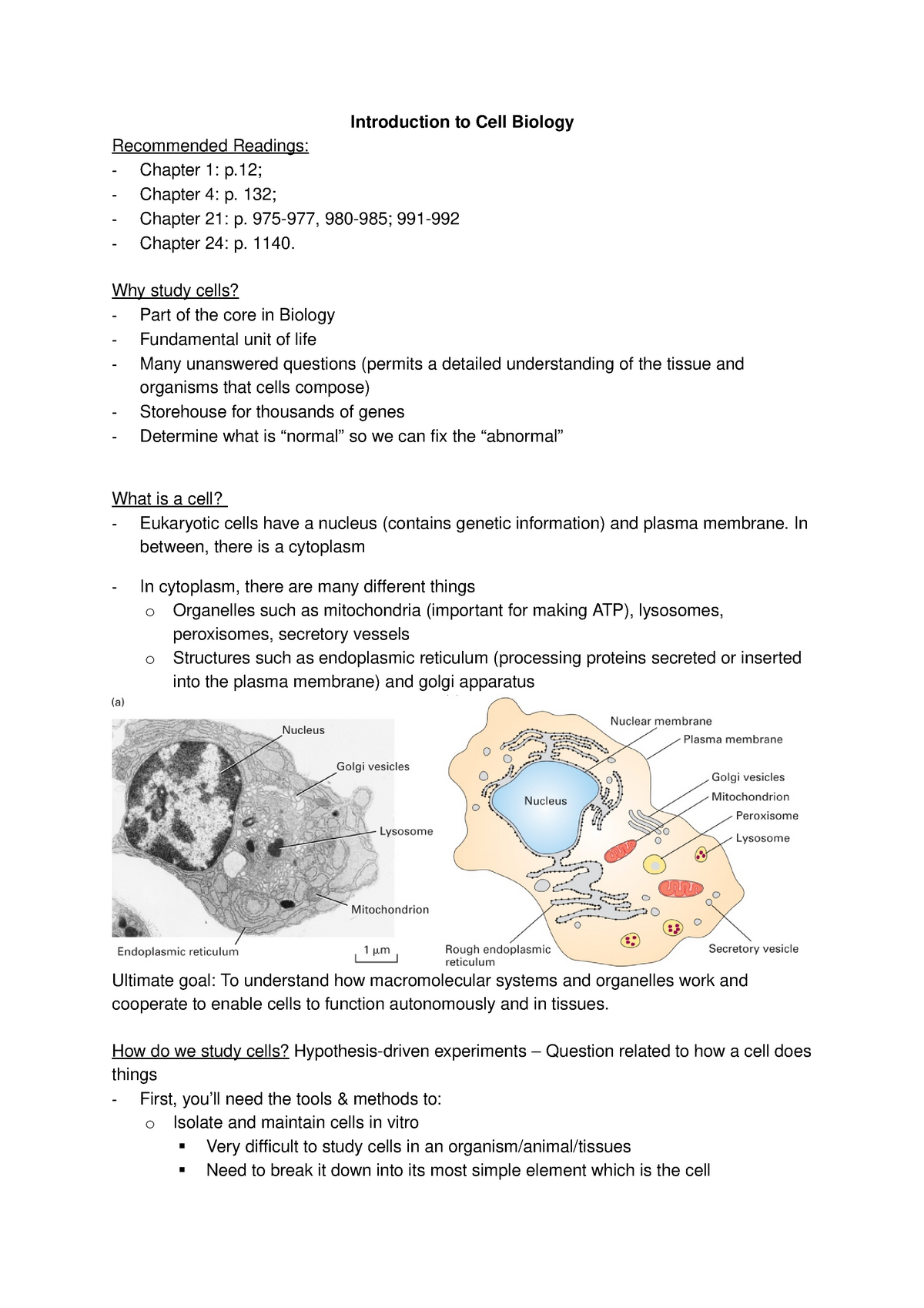 cellular biology literature review