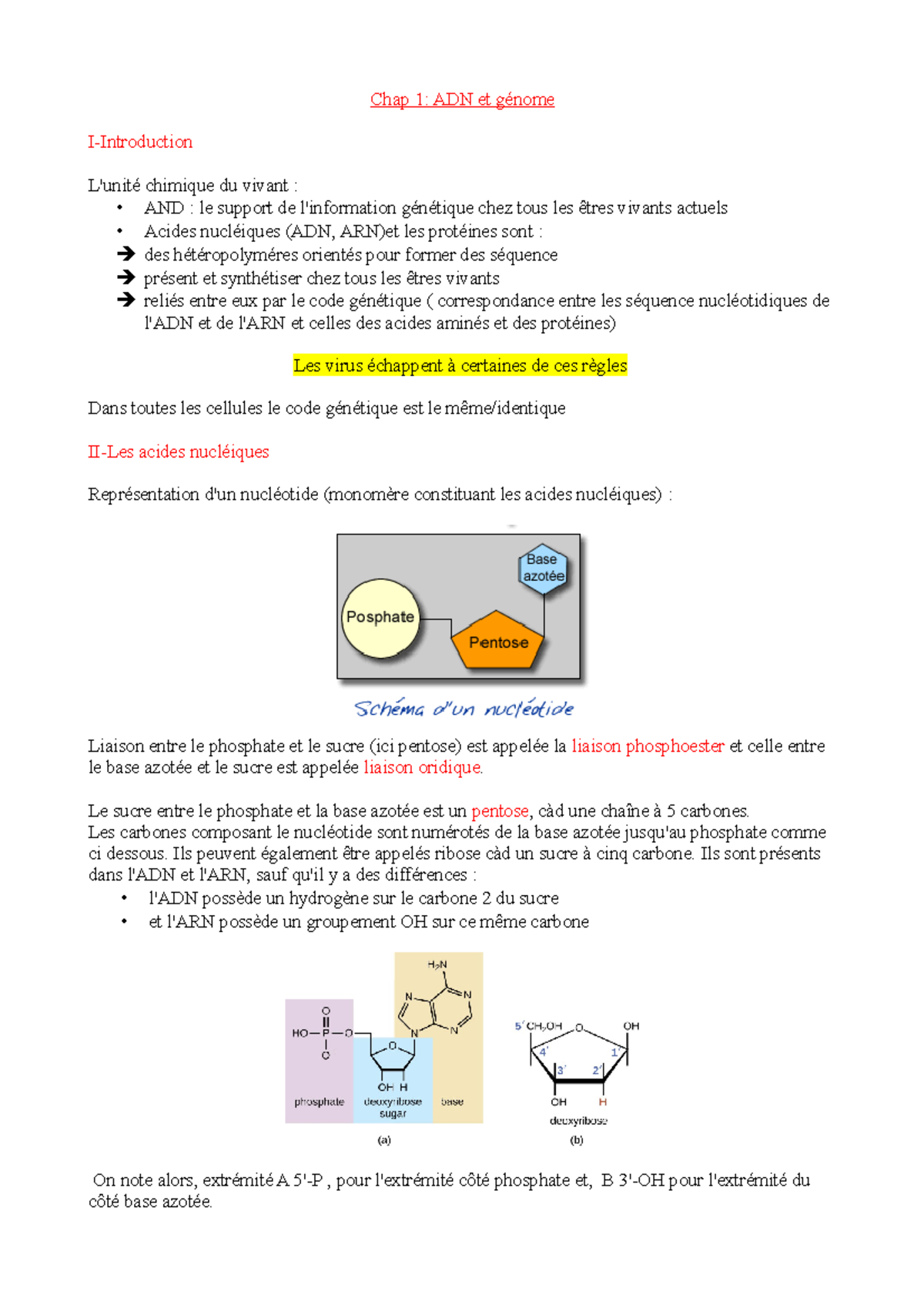 Chap 1 ADN et génome - Chap 1: ADN et génome I-Introduction L'unité ...
