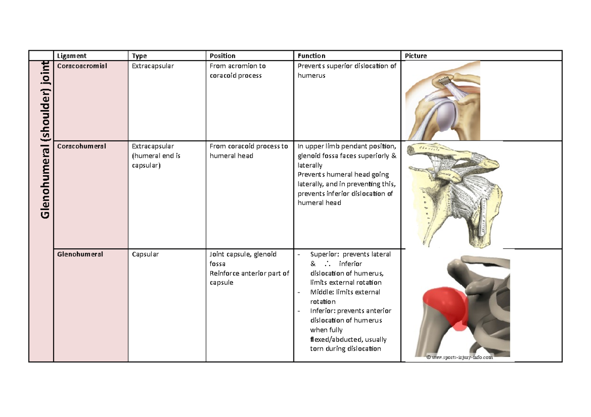 Ligamenttable Summary Foundations of Anatomy A Ligament Type