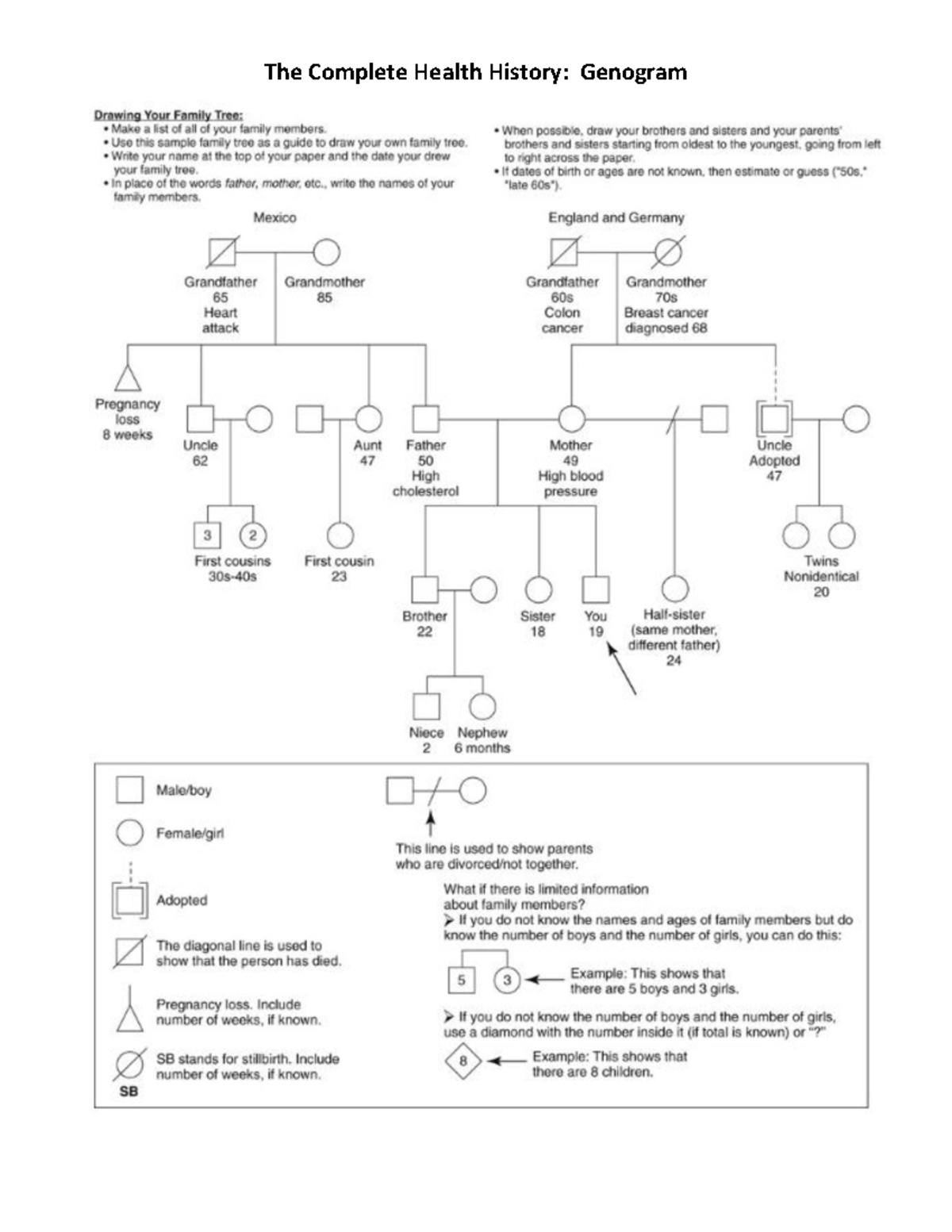 Complete Health History Genogram NR353 Studocu