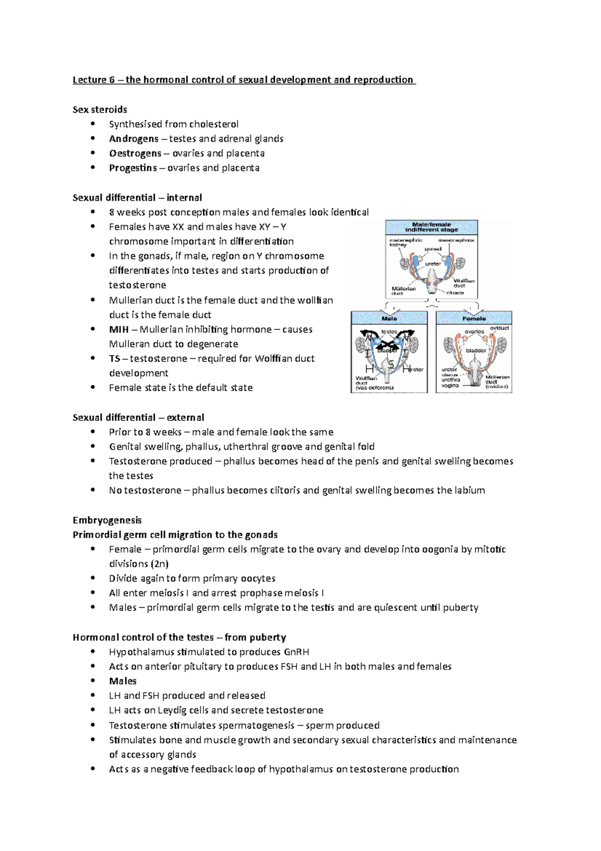 lecture-6-m-i-h-m-i-h-t-s-lecture-6-the-hormonal-control-of-sexual