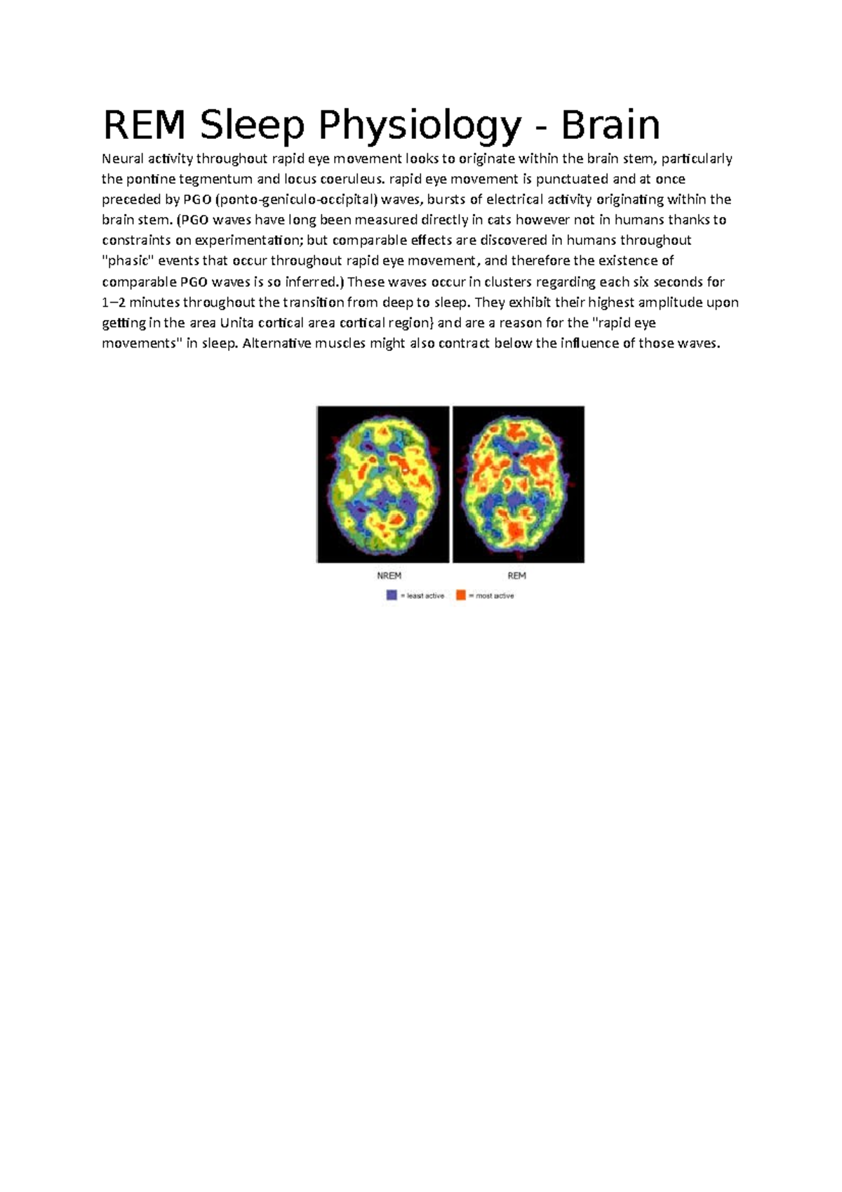 DE100 REM Sleep Physiology Brain REM Sleep Physiology Brain