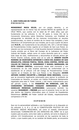 Formato De Demanda Dependencia Economica Jurisdicci N Voluntaria Dependencia Econ Mica Mar A