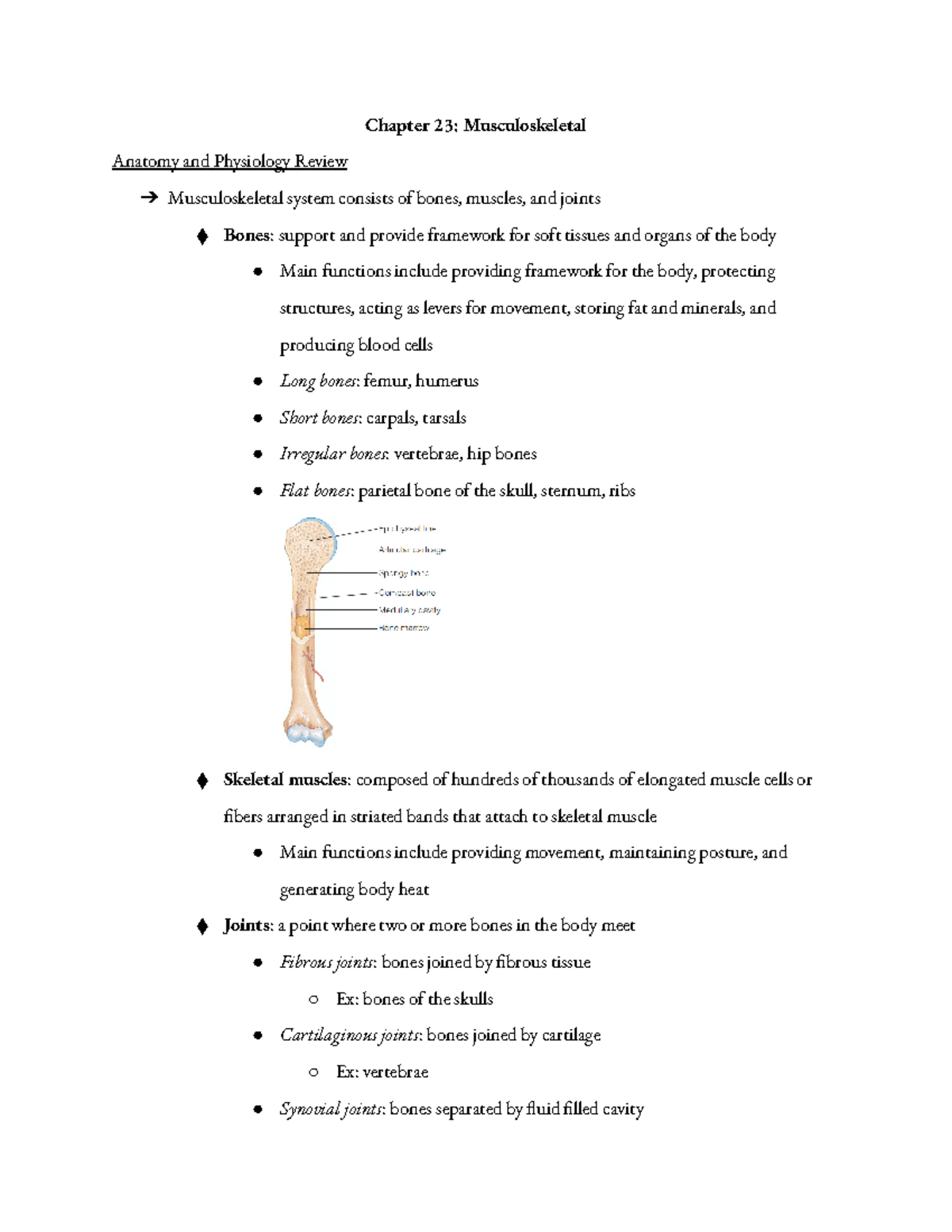 N190 Musculoskeletal, Neuro - Chapter 23: Musculoskeletal Anatomy and ...