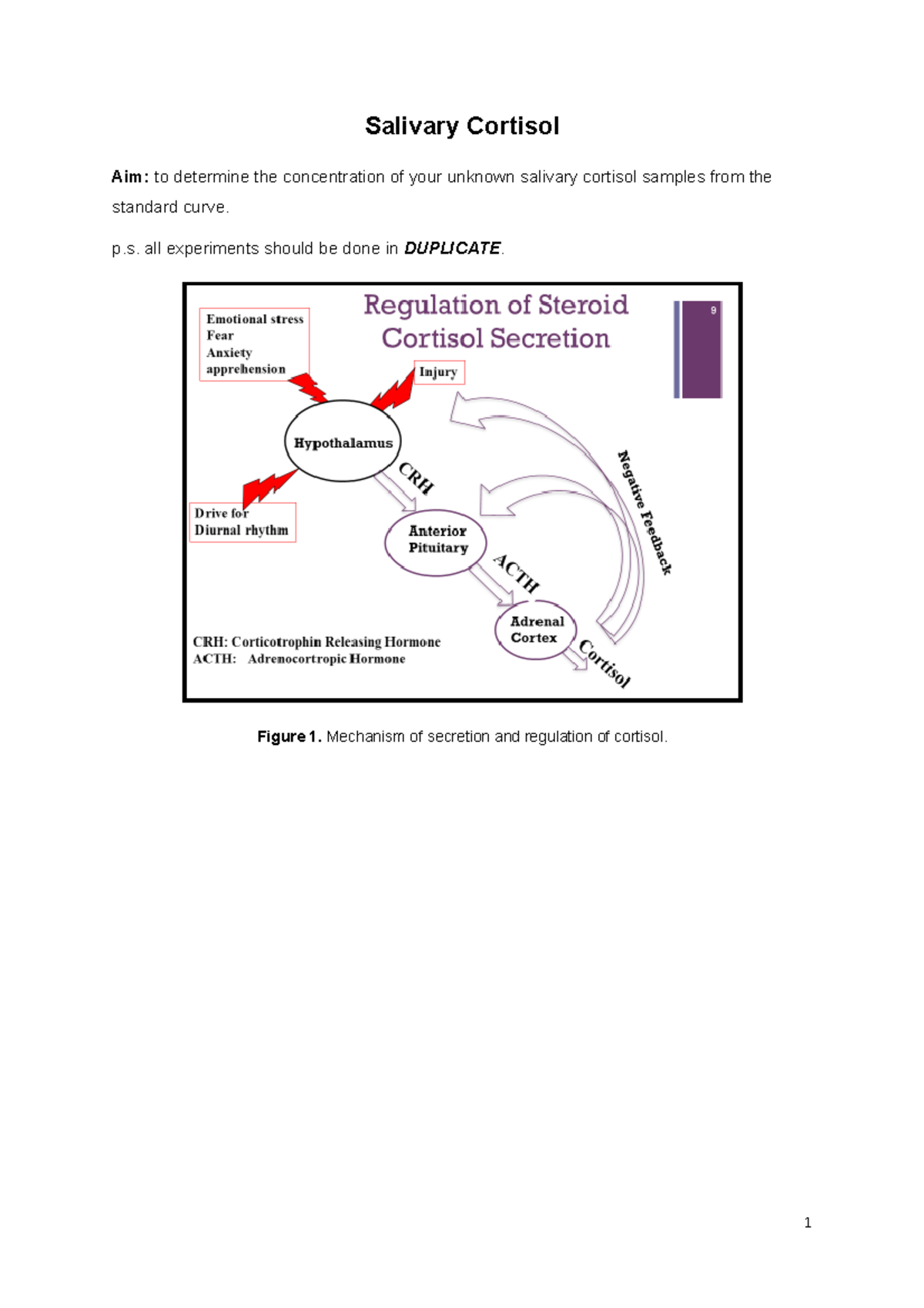 Salivary Cortisol Note for Students 2019 - Salivary Cortisol Aim: to ...