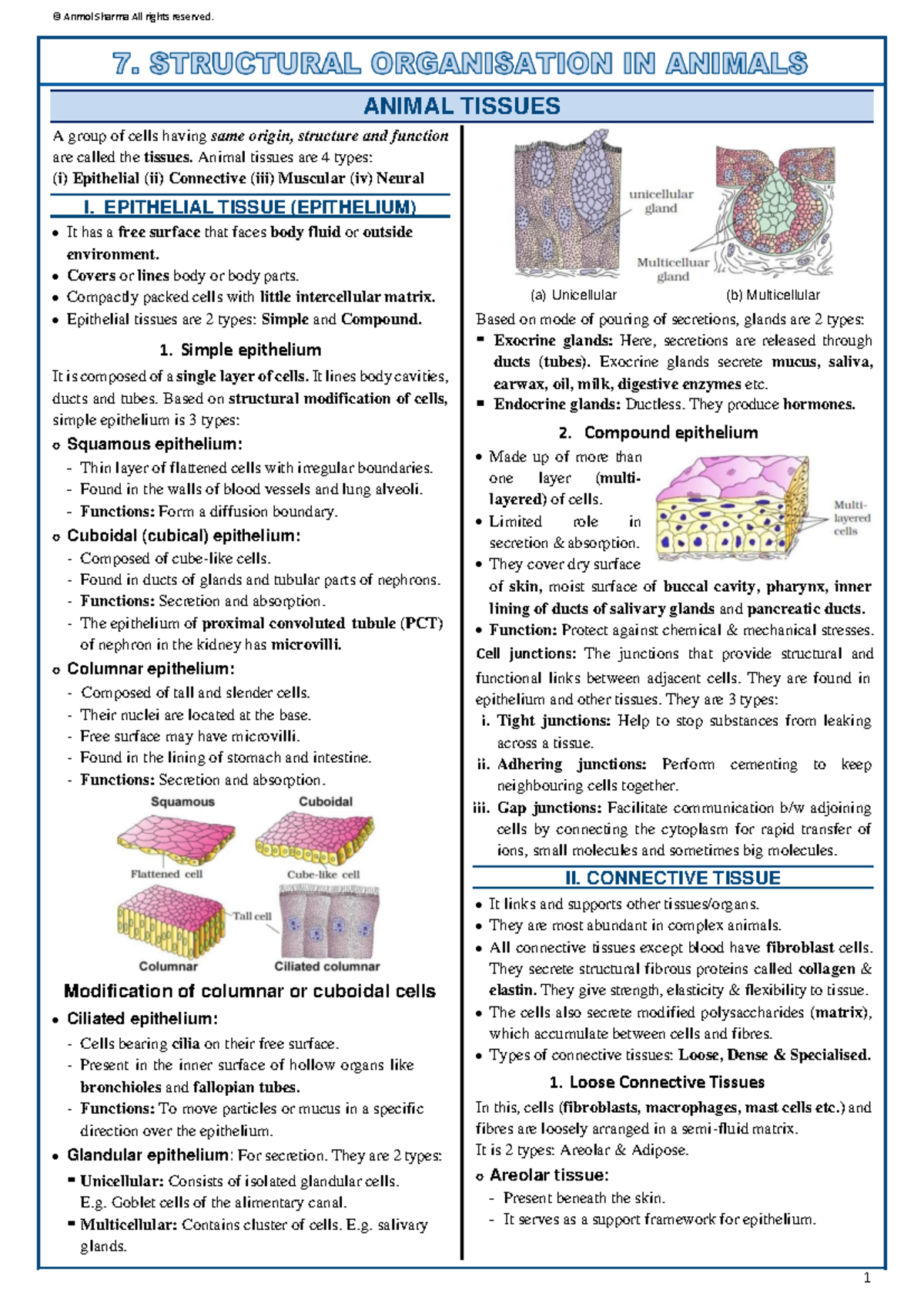 Structural organisation in animals - A group of cells having same ...