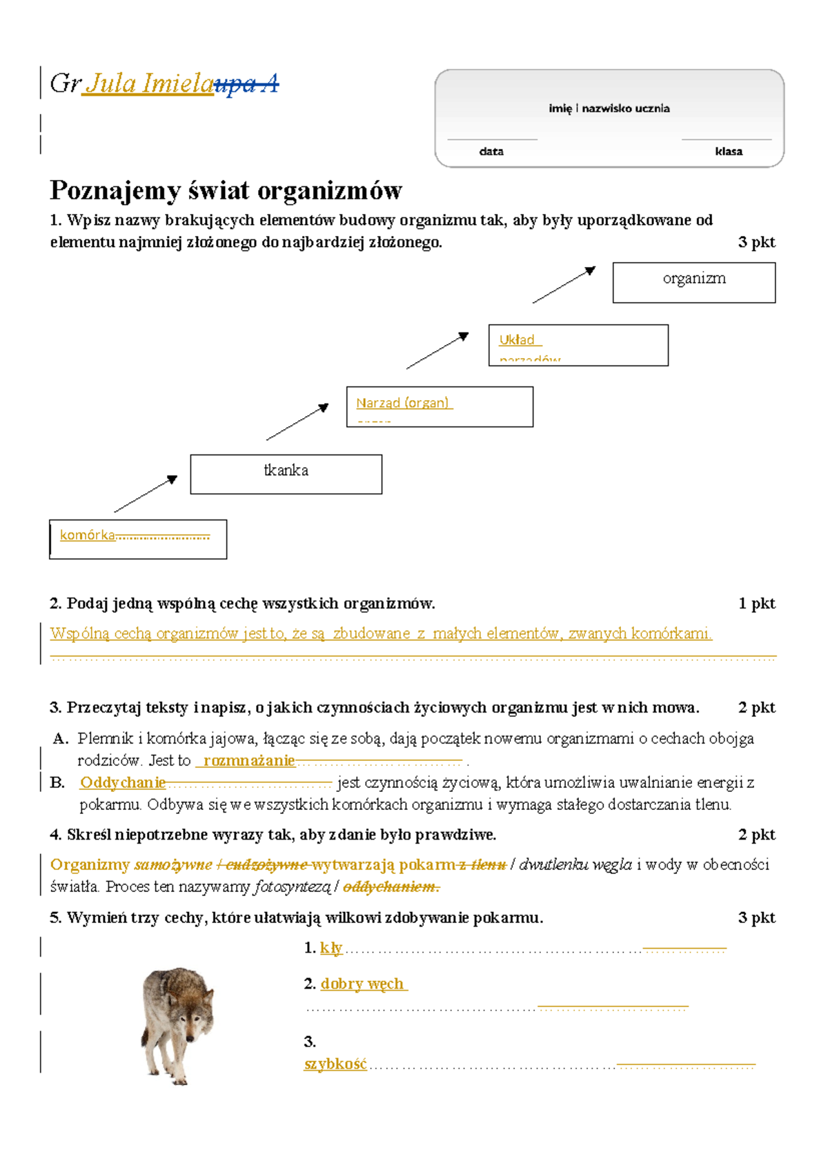 Sprawdzian Europejczycy Odkrywają świat Klasa 5 www.studocu.com