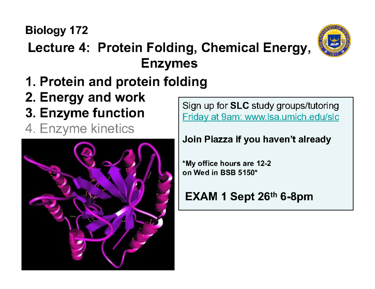 Lecture 4 Proteins and Work Enzyme Lecture 4 Protein