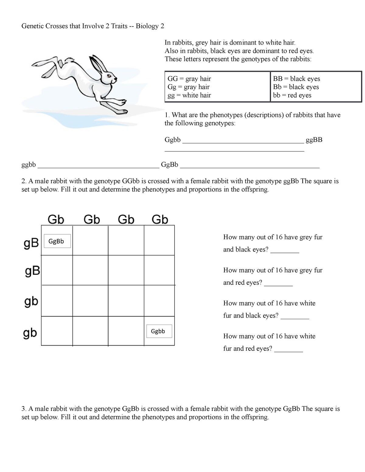 genetic-crosses-that-involve-2-traits-genetic-crosses-that-involve-2