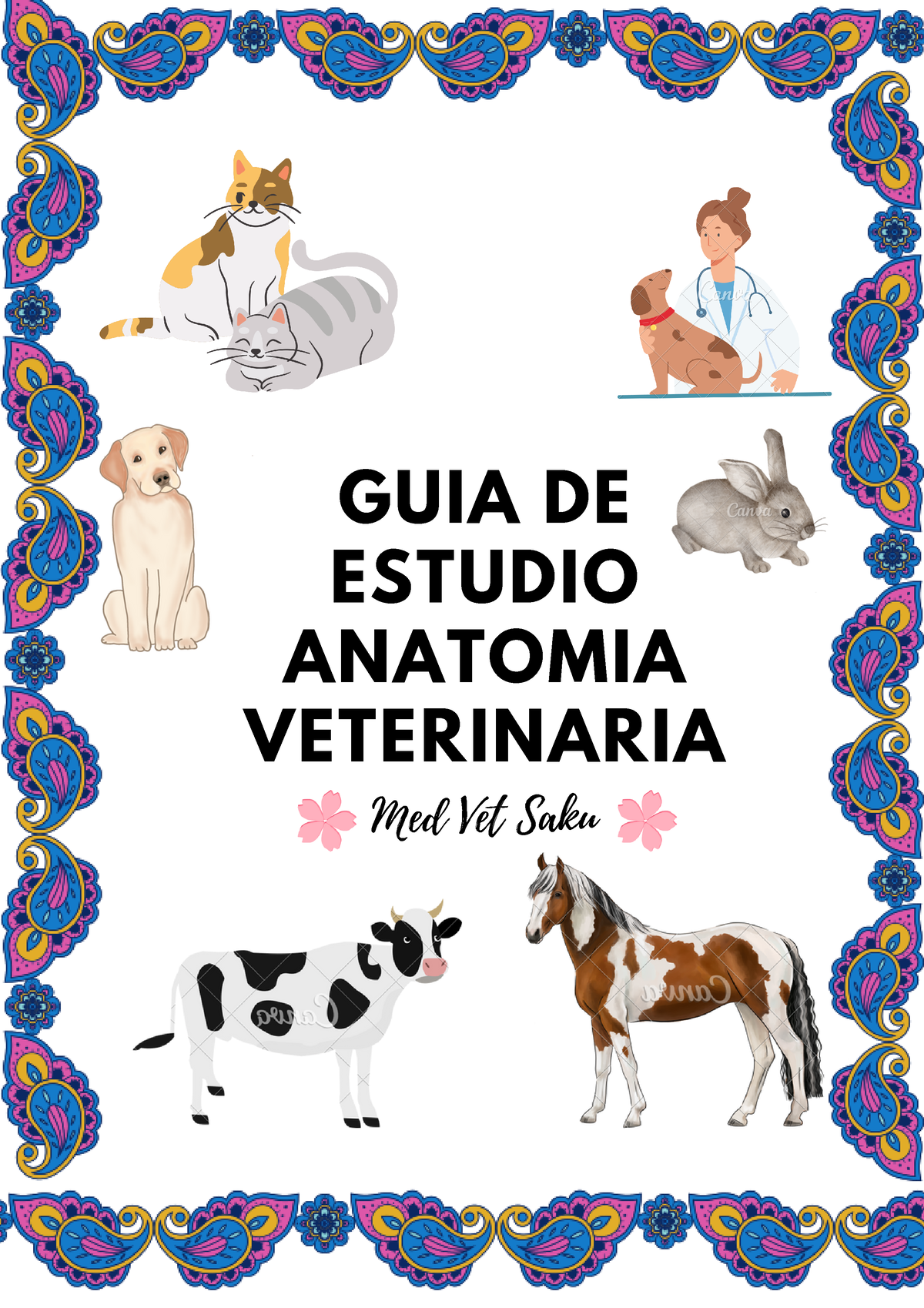 Guia Anato - Repaso - GUIA DE ESTUDIO ANATOMIA VETERINARIA Med Vet Saku ...