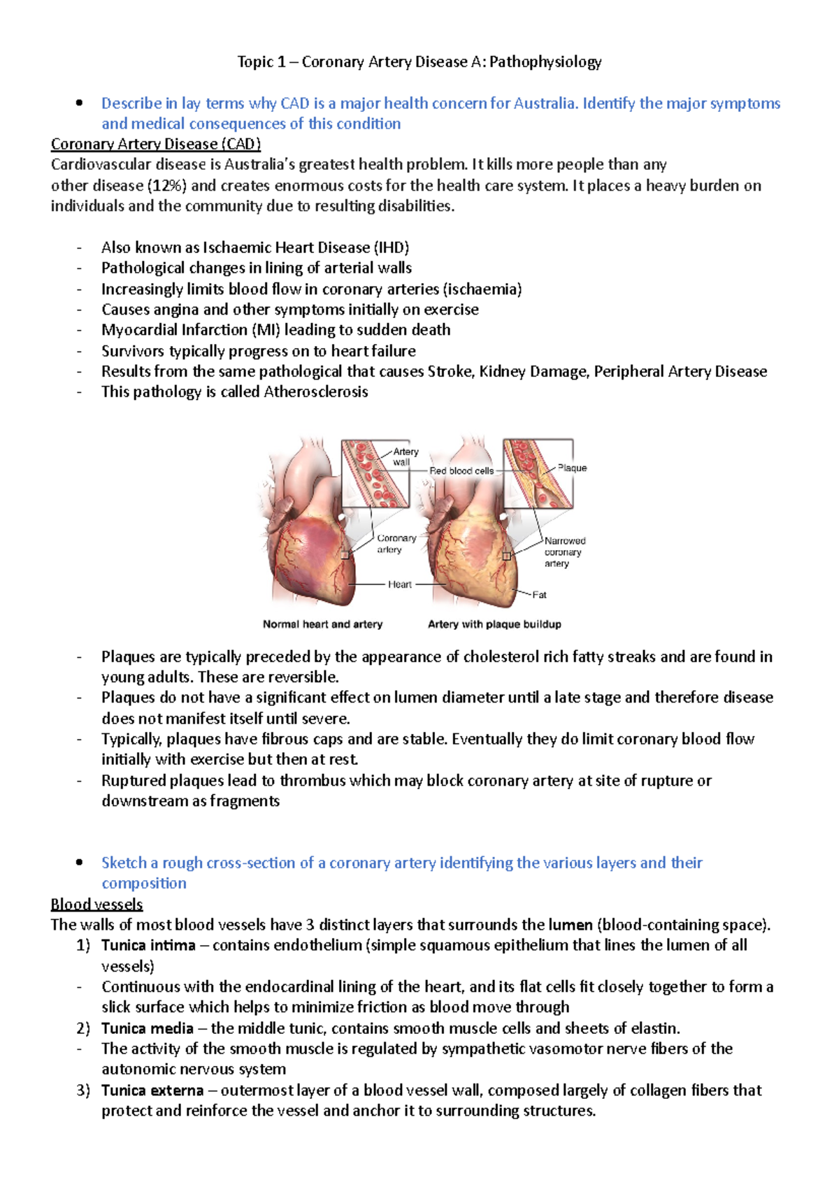 ISP Topic 1 – Coronary Artery Disease A - Identify the major symptoms ...