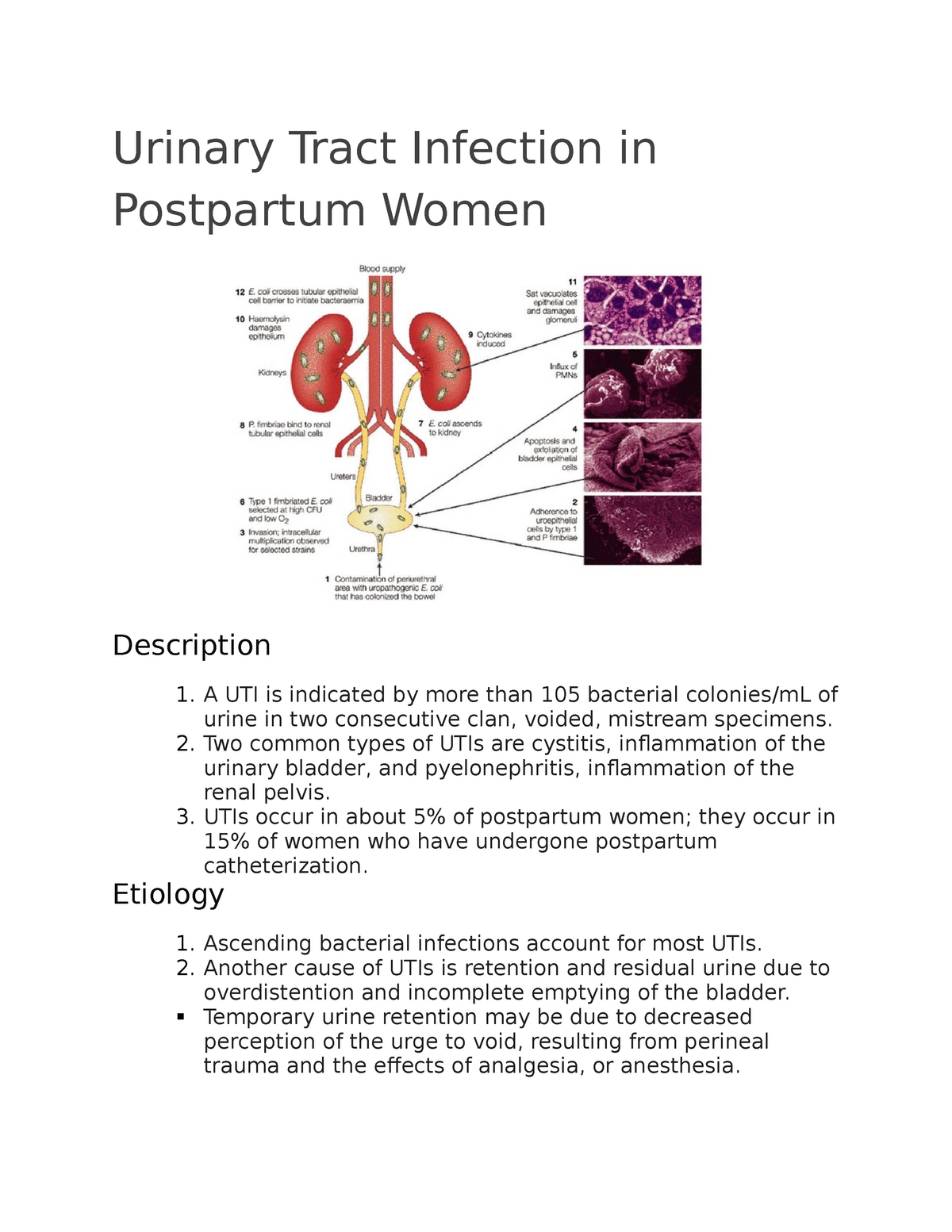 Urinary Tract Infection in Postpartum Women - Urinary Tract Infection in  Postpartum Women - Studocu