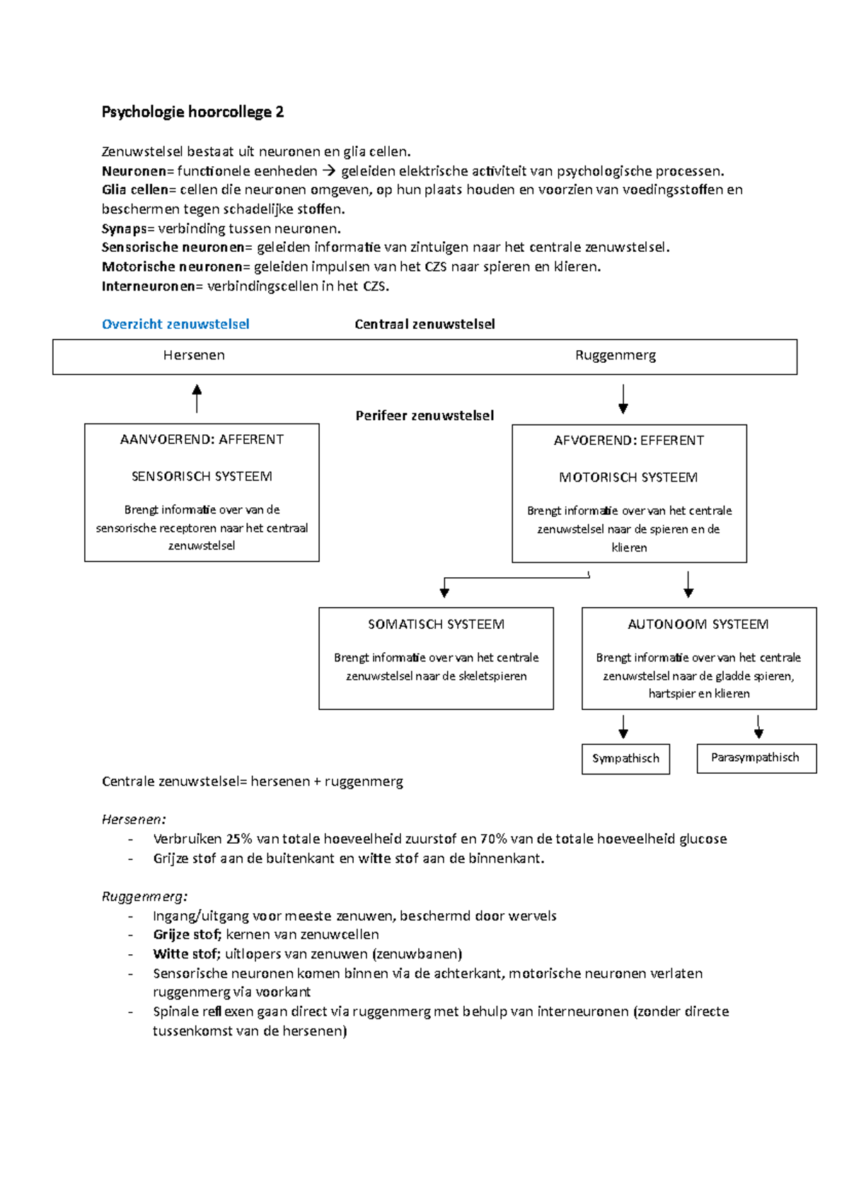 HC2 - Psychologie Hoorcollege 2 Zenuwstelsel Bestaat Uit Neuronen En ...